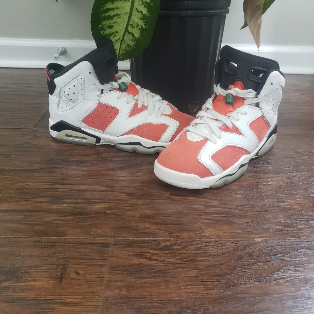 ‼️ SOLD‼️ Nike Air Jordan Retro VI 6 Gatorade sneakers